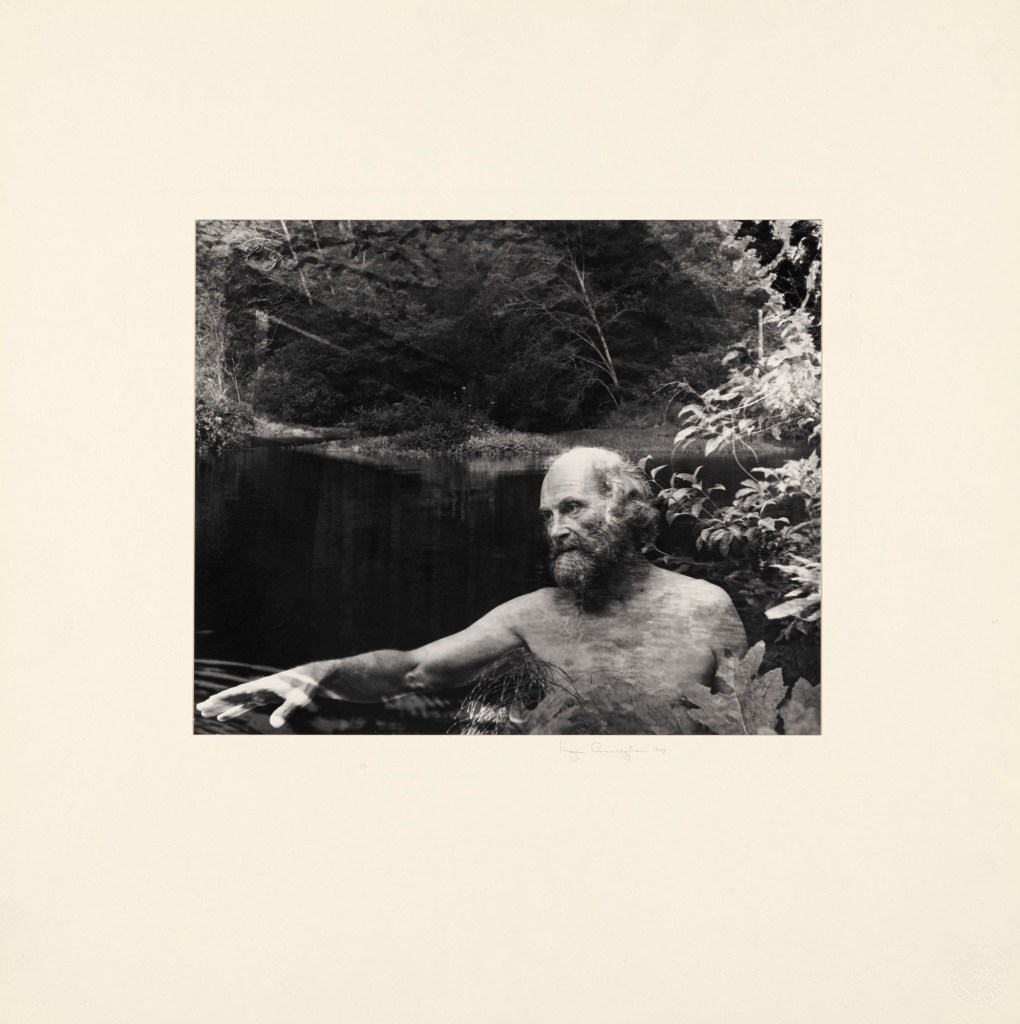 Imogen Cunningham (American, 1883-1976) 'Pentimento' 1973