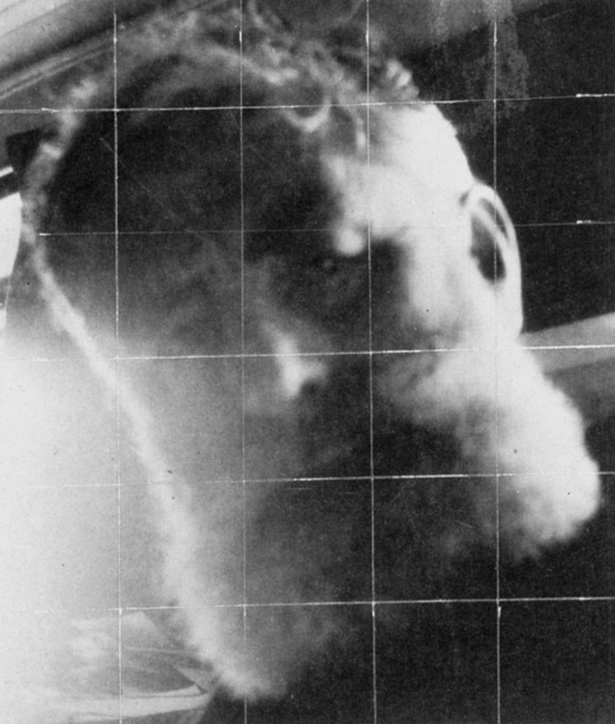 Thérèse Lessore photograph of Walter Sickert