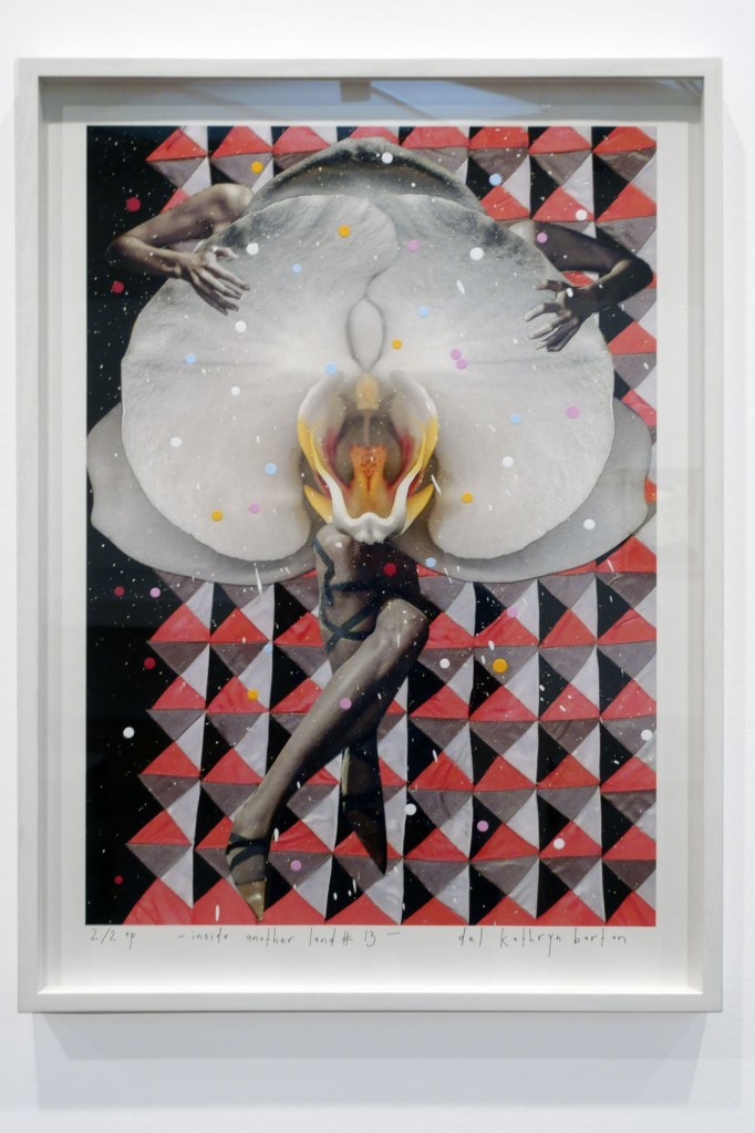 Del Kathryn Barton (Australian, b. 1972) 'inside another land 13' 2017 (installation view)