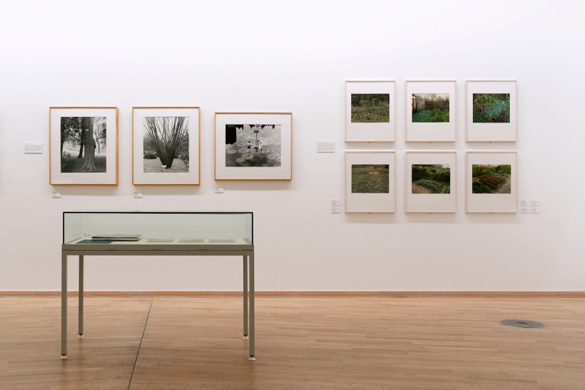 Installation view of the exhibition 'Photographic Concepts and Treasures – Works from the Collection Part 1 – Portraiture, Landscape, Botany' at Die Photographische Sammlung / SK Stiftung Kultur, Cologne showing at right, the work of Simone Nieweg