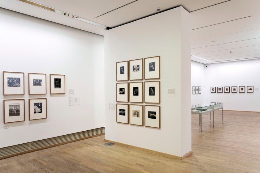 Installation view of the exhibition 'Photographic Concepts and Treasures – Works from the Collection Part 1 – Portraiture, Landscape, Botany' at Die Photographische Sammlung / SK Stiftung Kultur, Cologne showing at left, the work of August Sander including 'Three Generations of the Family' (1912) and 'Farming Couple, Westerwald' (1912)
