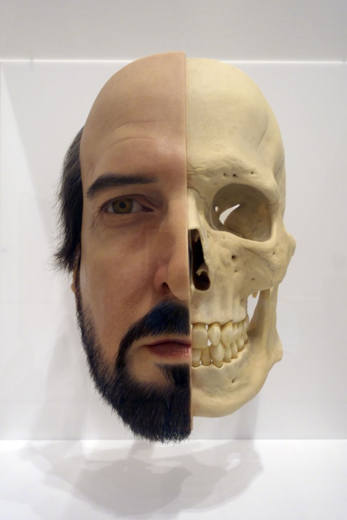 Sam Jinks (Australian, b. 1973) 'Divide (Self portrait)' 2011 (installation view)