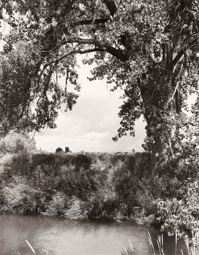 Robert Adams (American, b. 1937) 'Irrigation Canal, Larimer County, Colorado' 1995