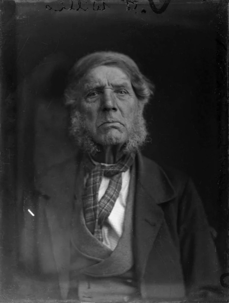 William James Harding (New Zealand, 1826-1899) 'Mr G Willis' April 1884