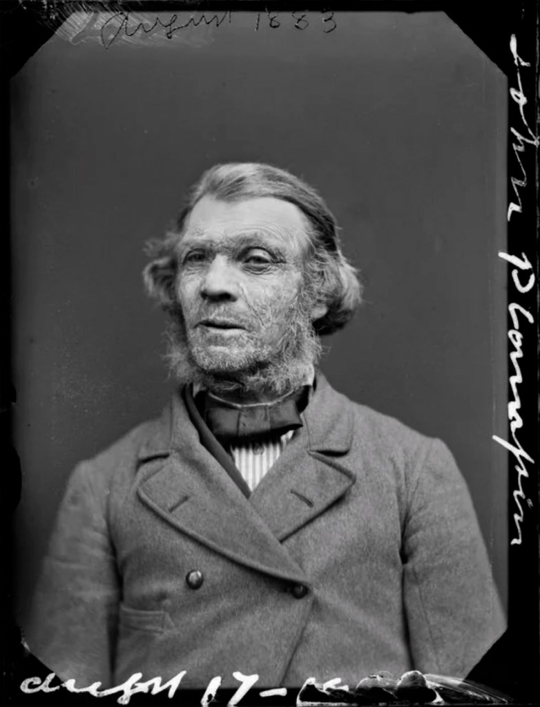 William James Harding (New Zealand, 1826-1899) 'Mr Plampin' 17 August 1883