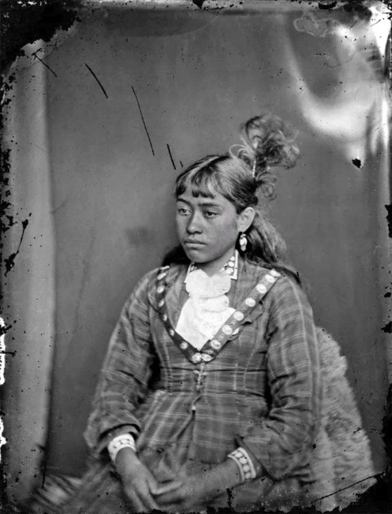 William James Harding (New Zealand, 1826-1899) 'Unidentified young maori girl' Between 1856-1889