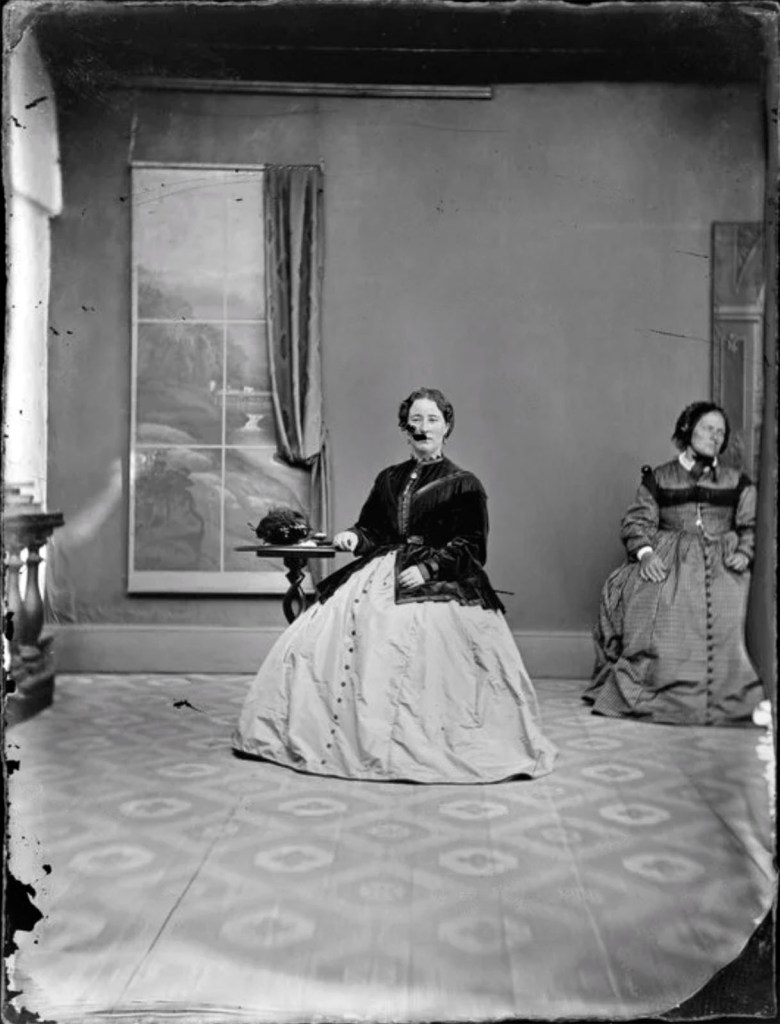William James Harding (New Zealand, 1826-1899) 'Woman on left wearing large crinoline dress with black jacket with tassels and belt above the waist, woman on the right wearing crinoline dress with tassels on top part of dress' Between 1870-1880