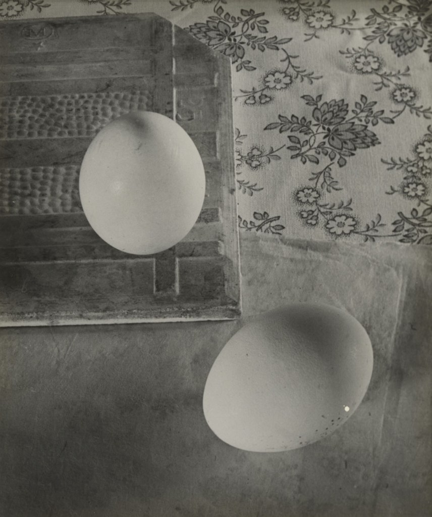 Ringl + Pit (German) Grete Stern (Argentine born Germany, 1904-1999) Ellen Auerbach (German, 1906-2004) 'Columbus' Egg' 1930