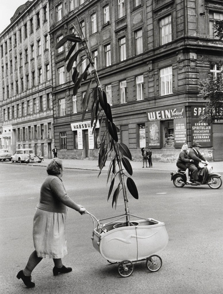 Franz Hubmann (Austrian, 1914-2007) 'Unusual Plant Transport, Wien' 1954