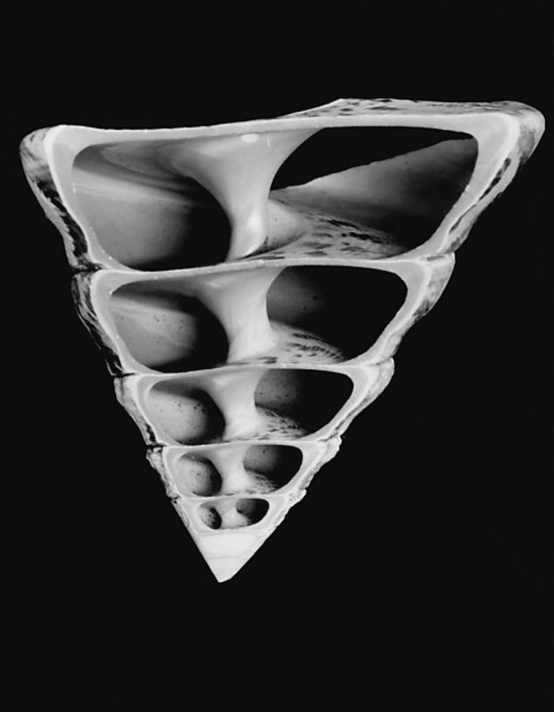 Hilla Becher (German, 1934-2015) '[Shell, for the German Industrial Exhibition, Khartoum, Sudan]' 1961