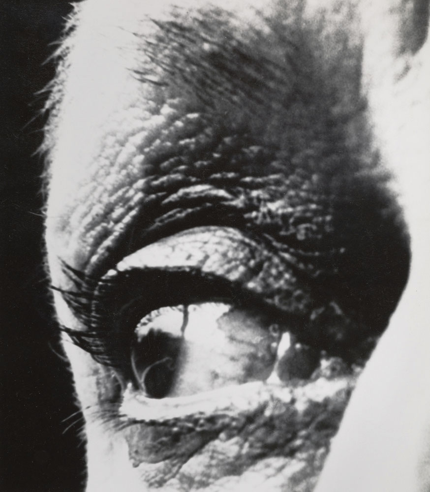 Bill Brandt (British born Germany, 1904-1983) 'Louise Nevelson's Eye' 1963 from the exhibition 'Bill Brandt: Inside the Mirror' at Tate Britain, London, Oct, 2022 - Jan, 2023