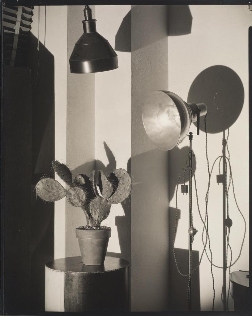 Charles Sheeler (American, 1883-1965) 'Cactus and Photographer's Lamp' 1931