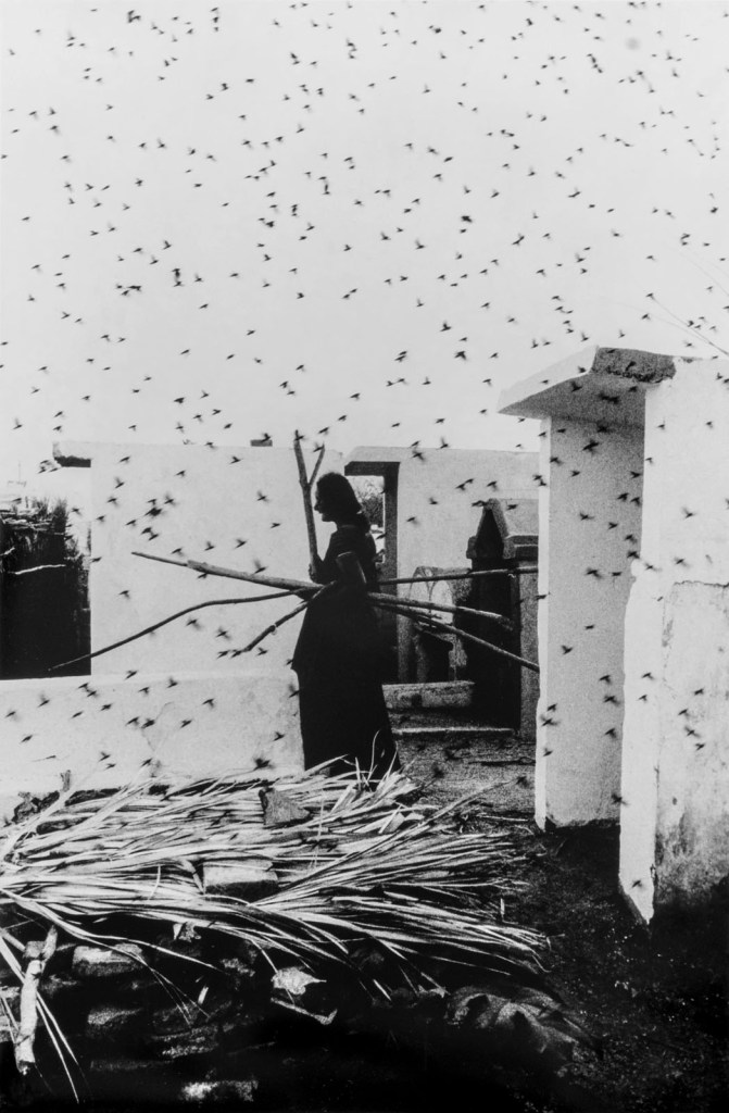 Graciela Iturbide (Mexican, b. 1942) 'Cemetery, Juchitán, Oaxaca' (Cementerio, Juchitán, Oaxaca) 1992