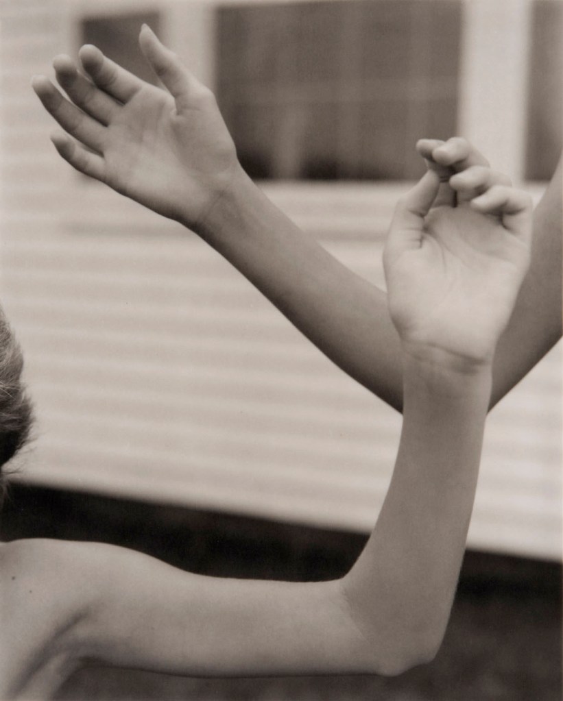 Jan Groover (American, 1943-2012) 'Untitled' c. 1978