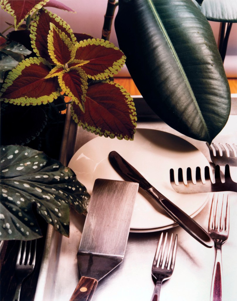 Jan Groover (American, 1943-2012) 'Untitled' c. 1978