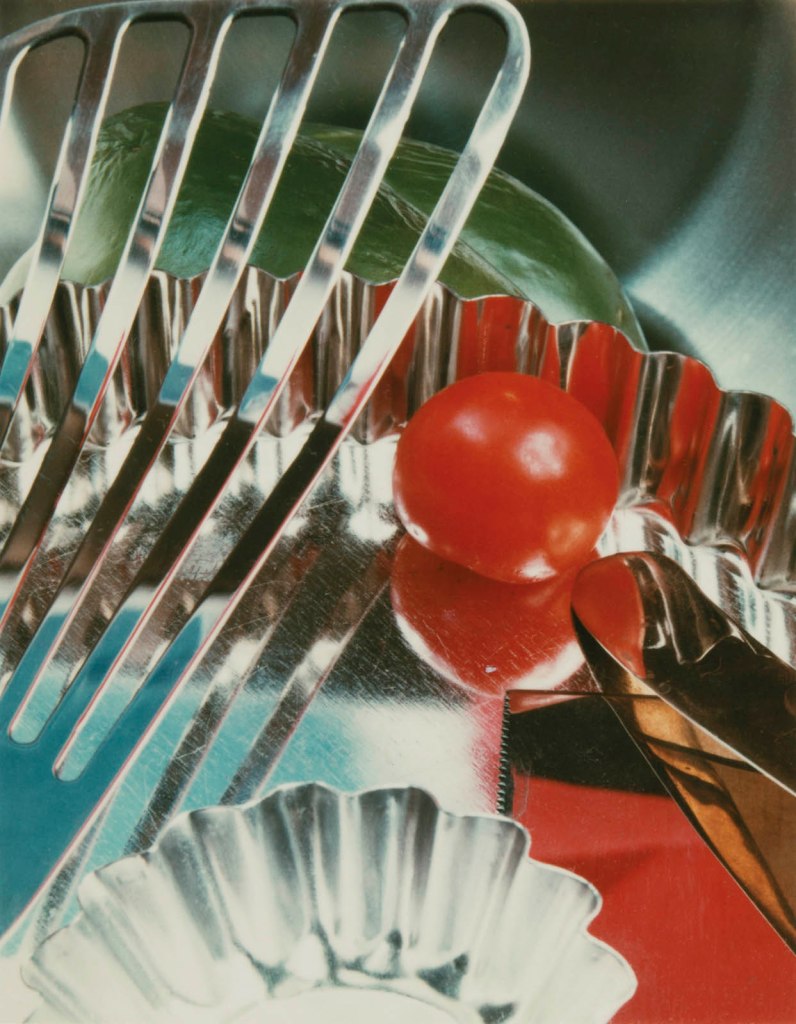 Jan Groover (American, 1943-2012) 'Untitled' c. 1978