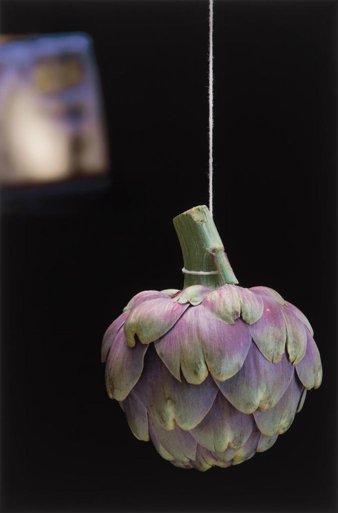 Olivia Parker (American, b. 1941) 'Artichoke' 2010