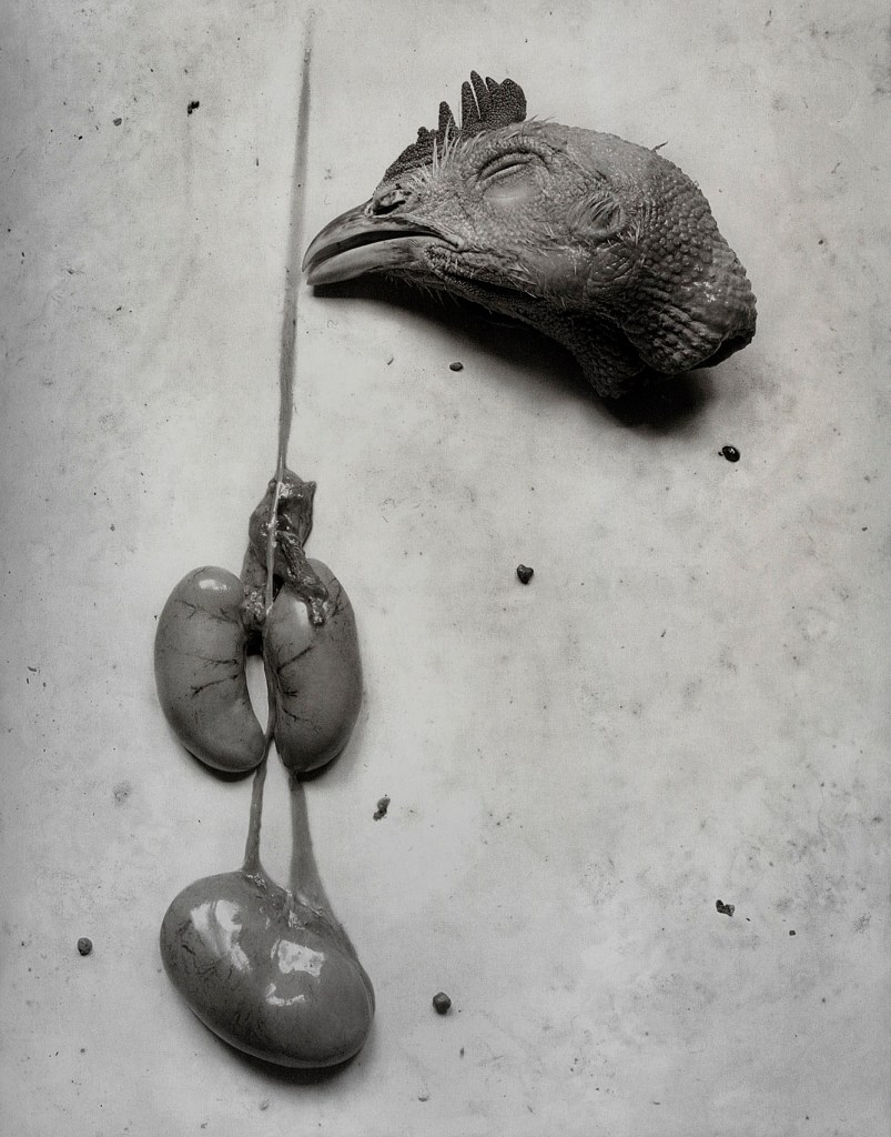 Frederick Sommer (American, 1905-1999) 'Chicken Entrails' 1939