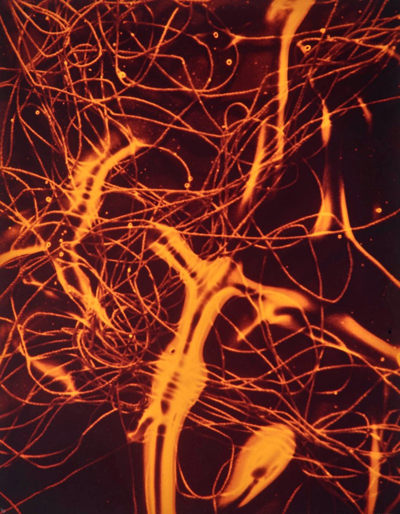 Jimmy DeSana (American, 1949-1990) 'String VII' 1987