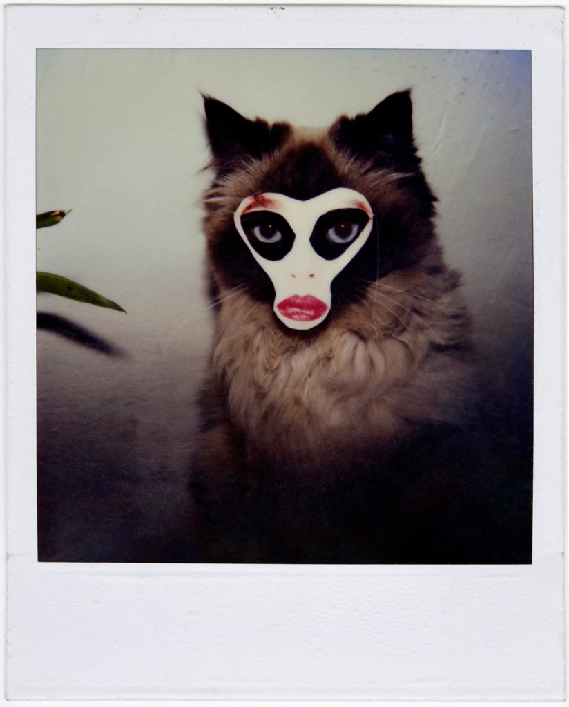 Birgit Jürgenssen (Austrian, 1949-2003) 'Untitled (Olga)' 1979 Birgit Jürgenssen (Austrian, 1949-2003) 'Untitled (Olga)' 1979