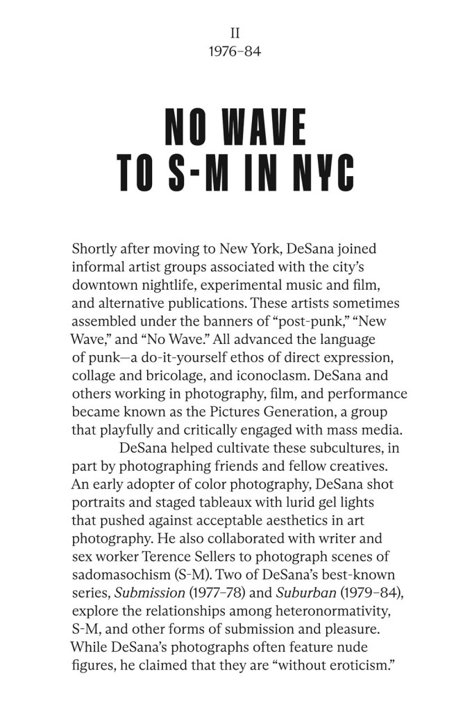 Jimmy DeSana No Wave to S-M in NYC wall text