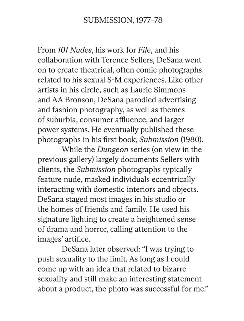 Jimmy DeSana Submission wall text