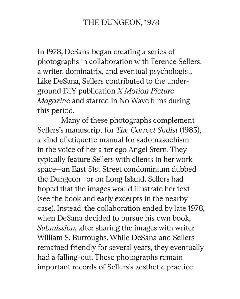 Jimmy DeSana The Dungeon 1978 wall text