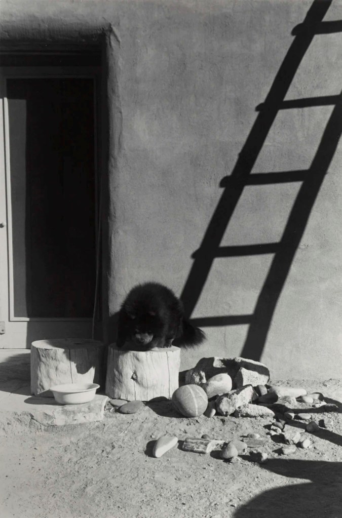 Georgia O'Keeffe (American, 1887-1986) 'Bo II (Bo-Bo)' 1960-1961