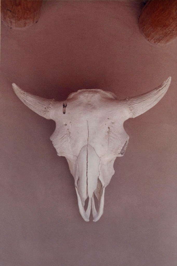 Georgia O'Keeffe (American, 1887-1986) 'Skull, Ghost Ranch' 1961-1972