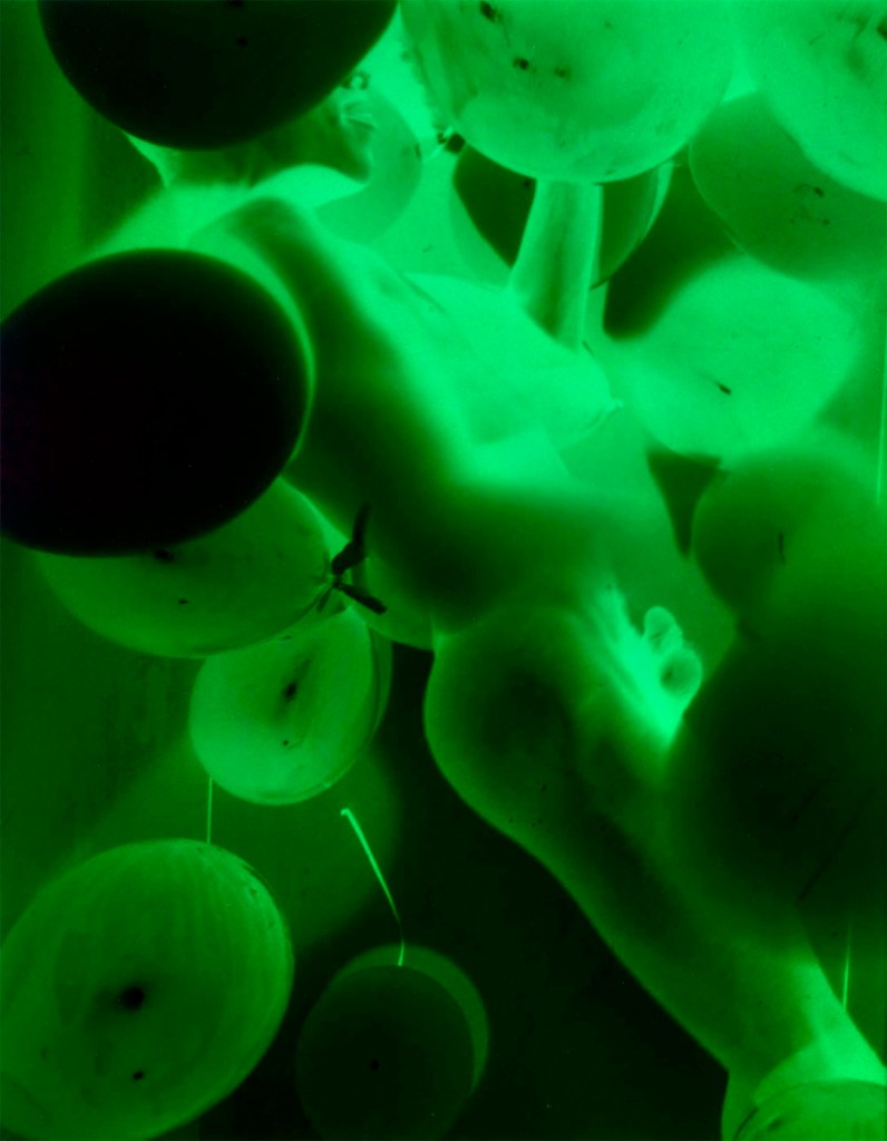 Jimmy DeSana (American, 1949-1990) 'Balloons' 1985