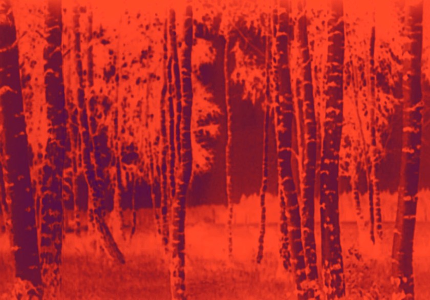 Marcus Bunyan (Australian, b. 1958). 'Trees' 2023