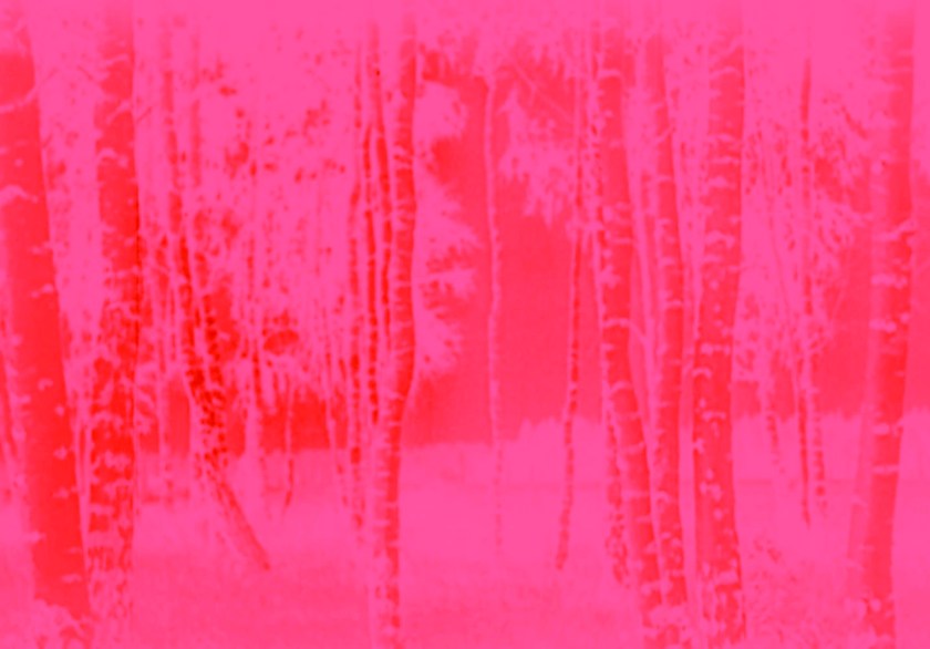 Marcus Bunyan (Australian, b. 1958). 'Trees' 2023