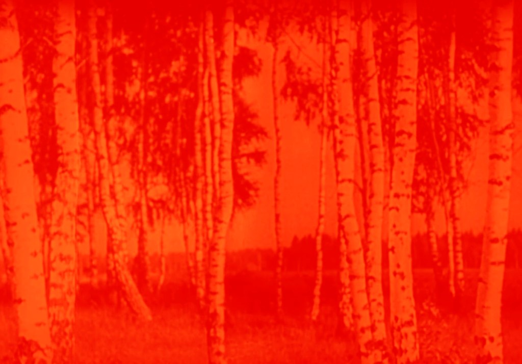 Marcus Bunyan (Australian, b. 1958). 'Trees' 2023