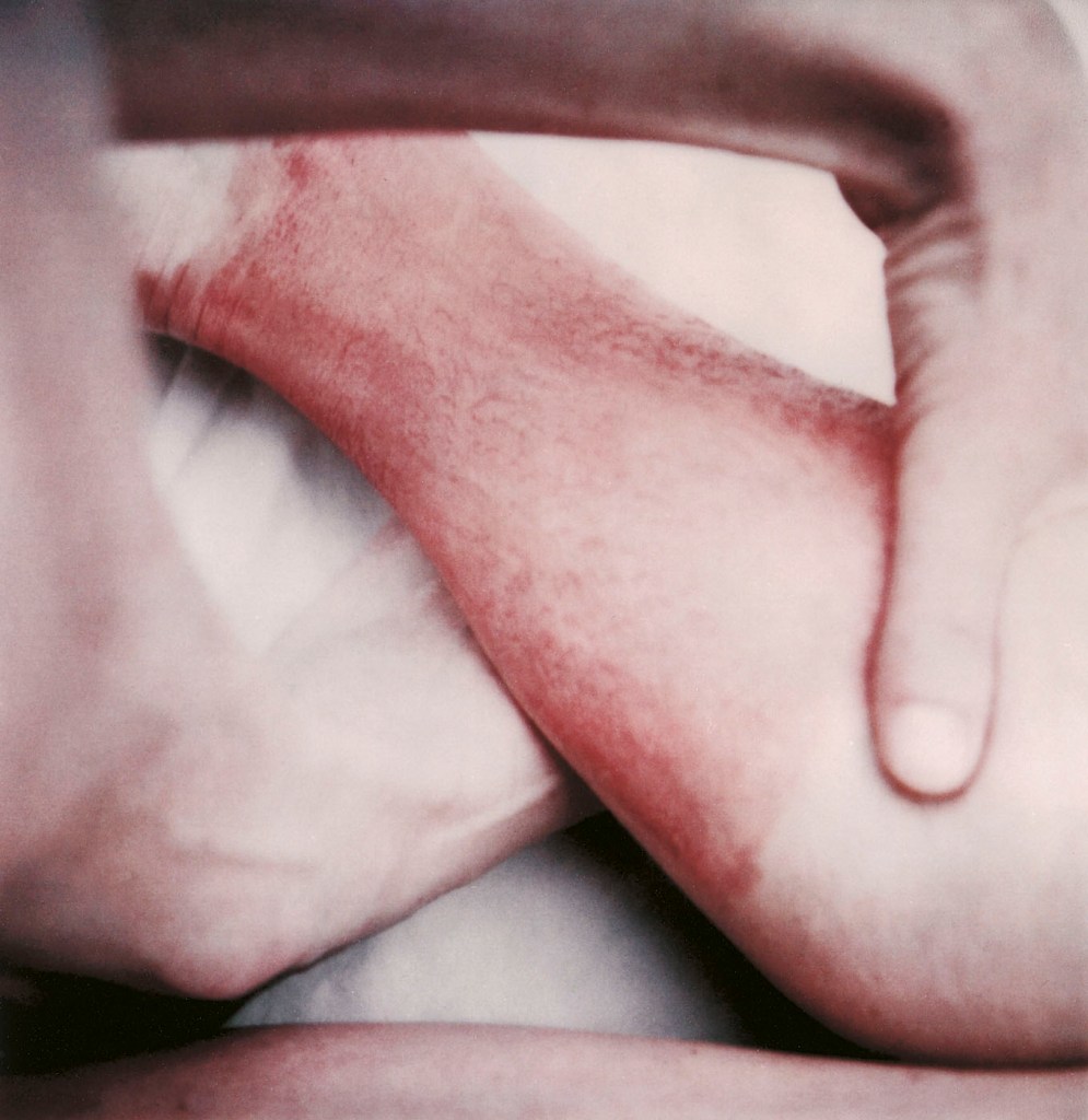 Hannah Villiger (Swiss, 1951-1997) 'Sculptural' 1984-1985