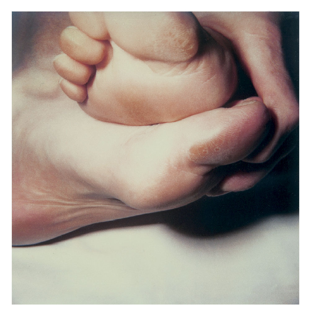 Hannah Villiger (Swiss, 1951-1997) 'Block XIII' 1989 (detail)