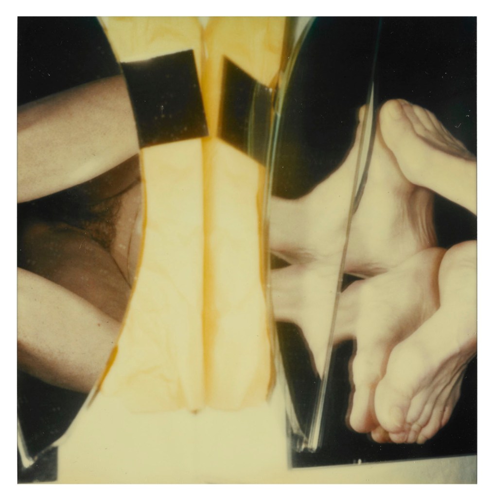 Hannah Villiger (Swiss, 1951-1997) 'Block XVI' 1989 (detail)