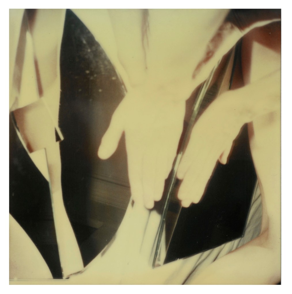 Hannah Villiger (Swiss, 1951-1997) 'Block XVI' 1989 (detail)