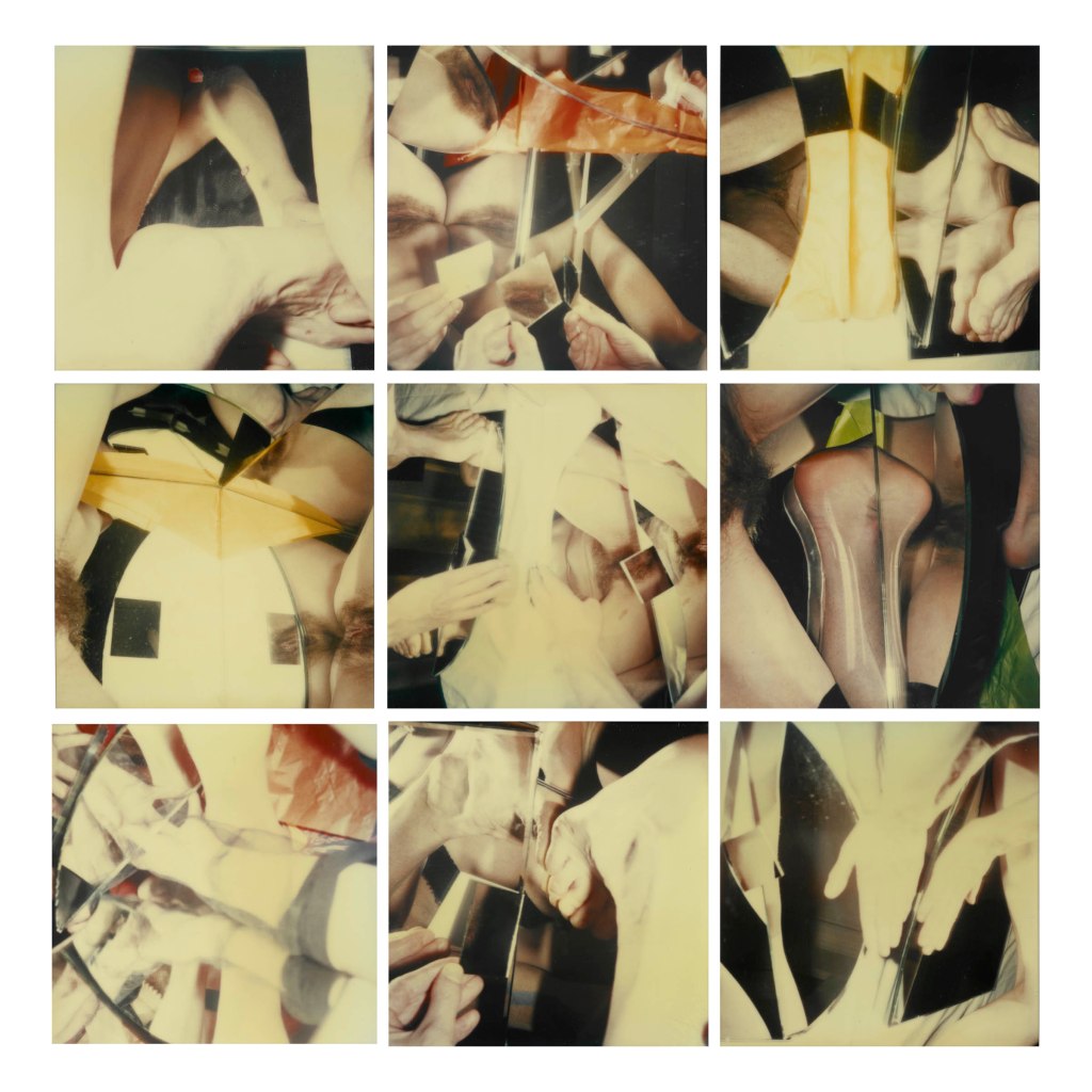 Hannah Villiger (Swiss, 1951-1997) 'Block XVI' 1989