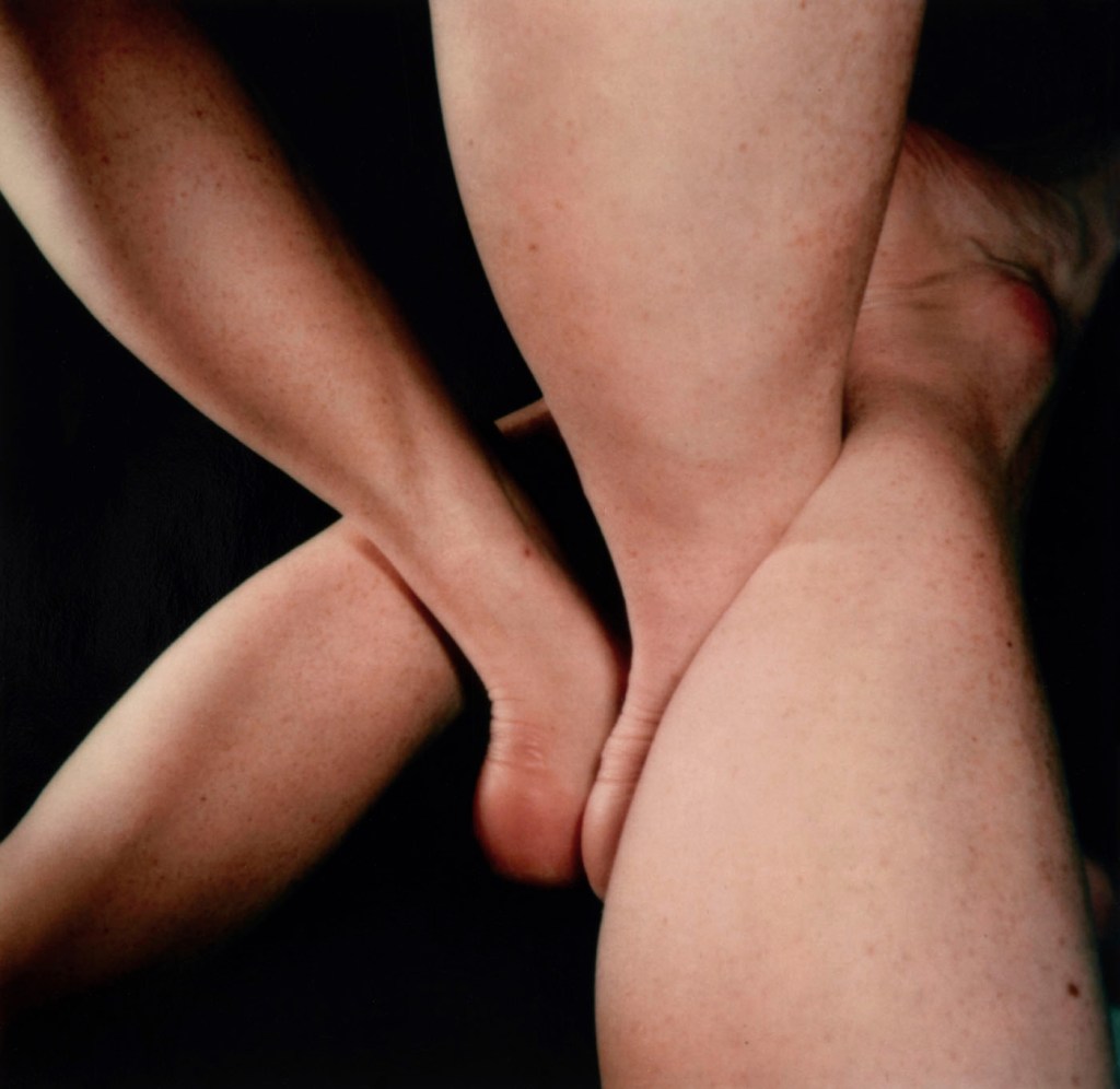 Hannah Villiger (Swiss, 1951-1997) 'Sculptural' 1990-1991