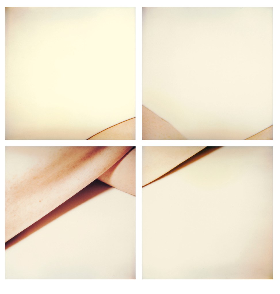 Hannah Villiger (Swiss, 1951-1997) 'Block XXXV' 1994