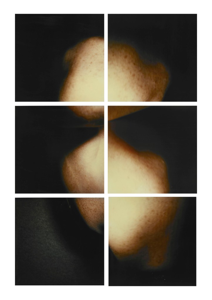 Hannah Villiger (Swiss, 1951-1997) 'Sculptural' 1995