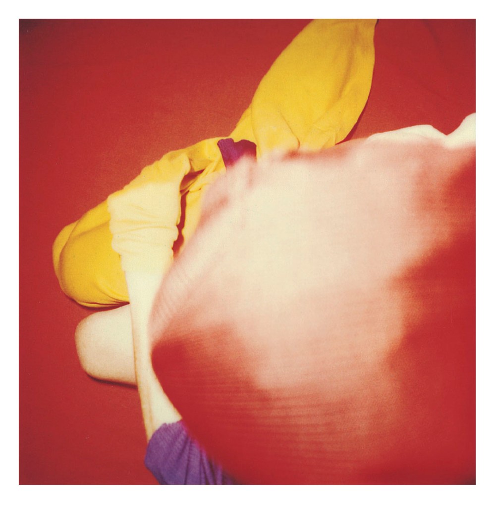 Hannah Villiger (Swiss, 1951-1997) 'Block' 1997 (detail)