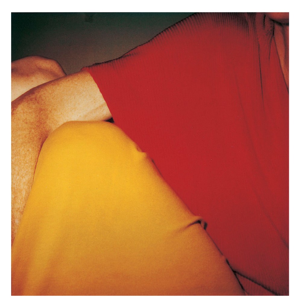 Hannah Villiger (Swiss, 1951-1997) 'Block' 1997 (detail)