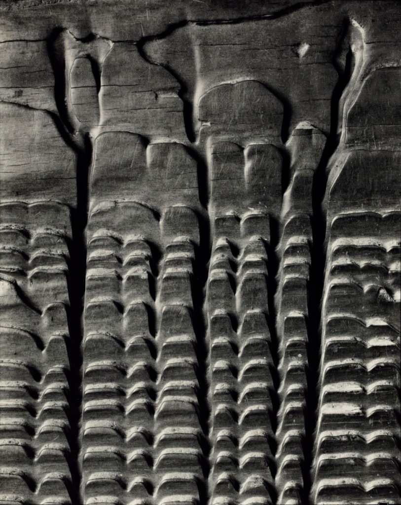 Edward Weston (American, 1886-1958) 'Eroded Plank from Barley Sifter' 1931, printed 1952-1955 by Brett Weston