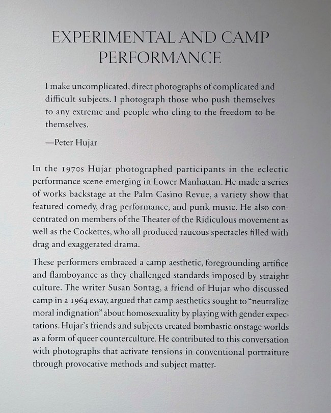 'Experimental and Camp Performance' exhibition text