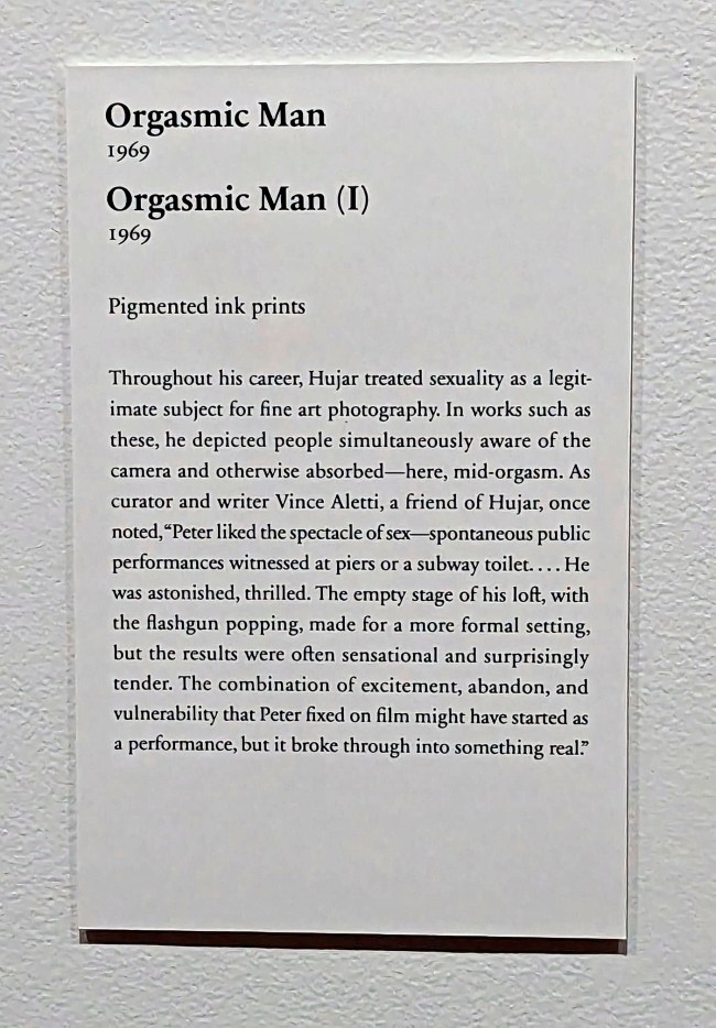 Wall text from the exhibition 'Peter Hujar: Performance and Portraiture' at the Art Institute of Chicago 'Orgasmic man'