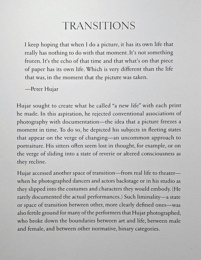'Transitions' wall text from the exhibition 'Peter Hujar: Performance and Portraiture' at the Art Institute of Chicago