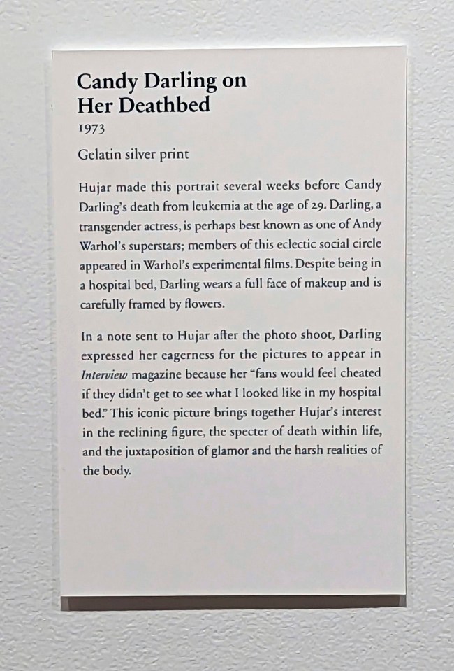 'Candy Darling on Her Deathbed' wall text from the exhibition 'Peter Hujar: Performance and Portraiture' at the Art Institute of Chicago
