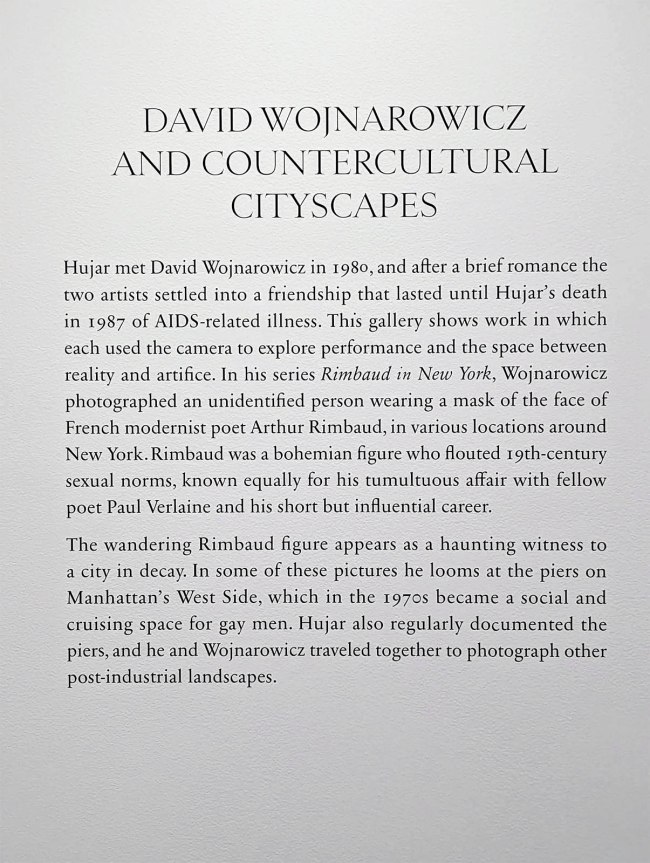 Wall text from the exhibition 'David Wojnarowicz and countercultural cityscapes'
