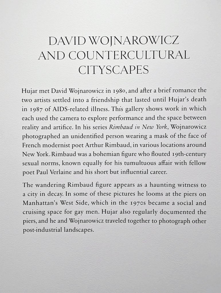 Wall text from the exhibition 'David Wojnarowicz and countercultural cityscapes'